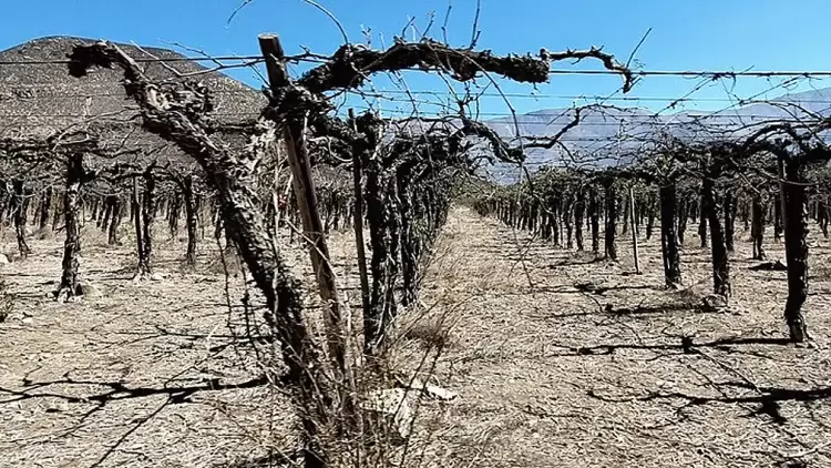 Οι ακραίες ξηρασίες αναμένεται να γίνουν πιο συχνές, σοβαρές και εκτεταμένες
