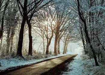 Ο καιρός σε Κοζάνη και Δυτική Μακεδονία σήμερα Παρασκευή, 21 Φεβρουαρίου 2025: Νεφώσεις με ασθενείς τοπικές βροχές ή χιονόνερο