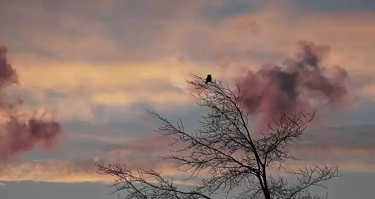 Ο καιρός για την Κοζάνη και την Δυτική Μακεδονία σήμερα Σάββατο, 08 Φεβρουαρίου 2025: Κρύο και λίγη συννεφιά Ο καιρός για την Κοζάνη και την Δυτική Μακεδονία σήμερα Σάββατο, 08 Φεβρουαρίου 2025: Κρύο και λίγη συννεφιά