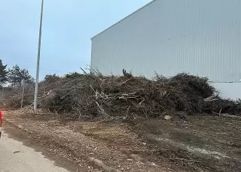 Κλαδεύσεις επικίνδυνων δένδρων,  από τον Δήμο Αμυνταίου