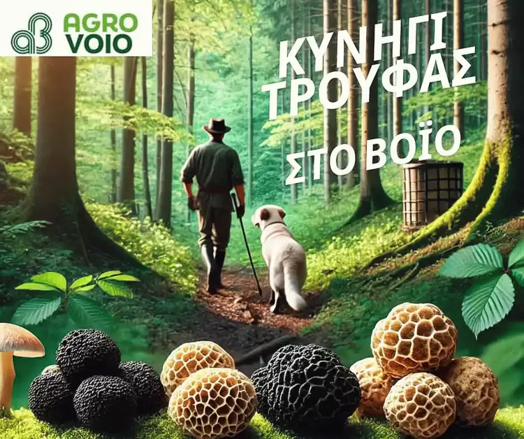 Κυνήγι Τρούφας από το Αγροβόιο την Κυριακή 16 Μαρτίου