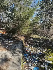 Μαζί για ένα Καθαρότερο Αύριο: Δράση ευαισθητοποίησης στην περιοχή Ξενία