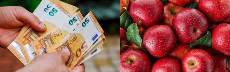 Δήμος Γρεβενών: Ξεκίνησε η υποβολή αιτήσεων των μηλοπαραγωγών για τις αποζημιώσεις Ad Hoc.