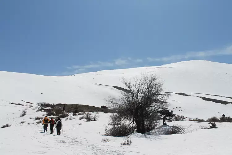 Ο Ε.Ο.Σ. Κοζάνης διοργανώνει εξόρμηση στην κορυφή του Κισσάβου