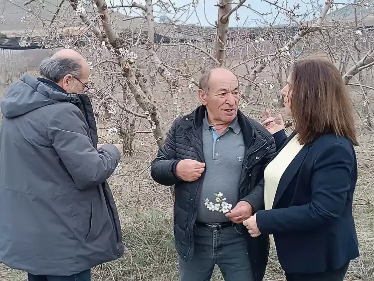 Καλλιόπη Βέττα: Για μια ακόμη χρονιά οι δενδροκαλλιεργητές της Π.Ε. Κοζάνης