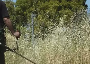 Καθαρισμός οικοπέδων του Δήμου Εορδαίας