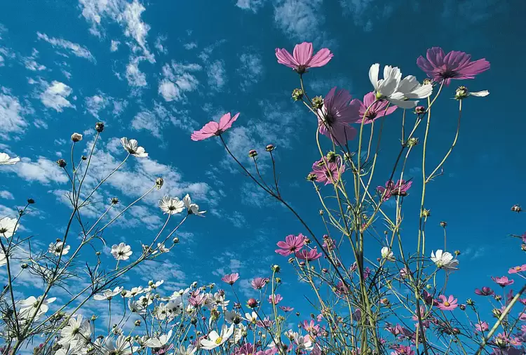 Μερομήνια 2025: Με τι καιρό θα κάνουμε φέτος Πάσχα – Πώς θα κυλήσει η Μεγάλη Εβδομάδα