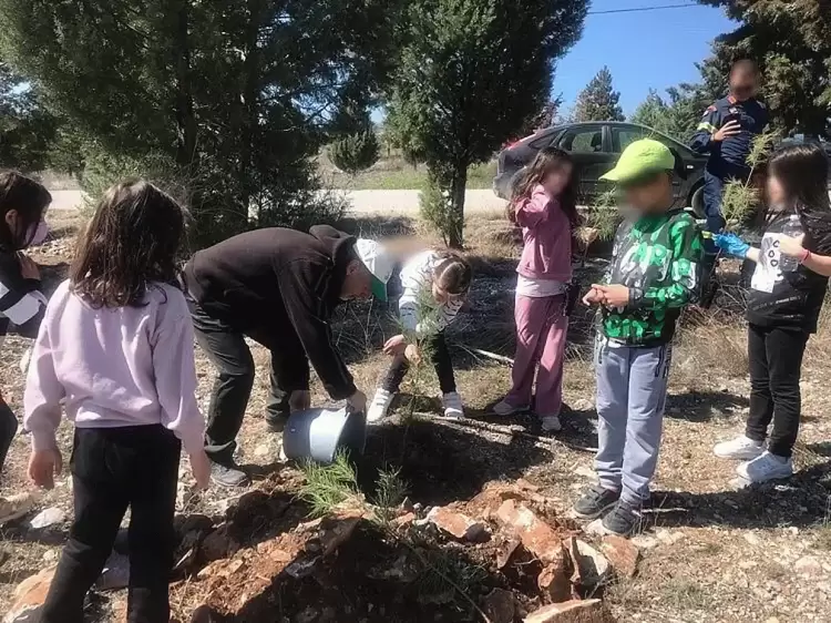 Νai στη δεντροφύτευση – Oxi στην αβασάνιστη κοπή δέντρων