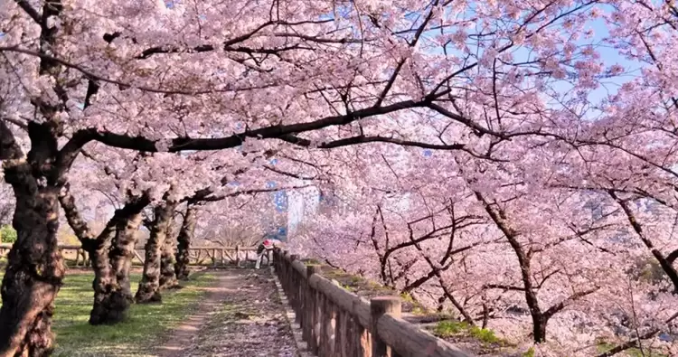 Παγκόσμια Ημέρα Ποίησης – «Το όνειρο» του Δ. Σολωμού