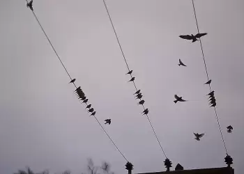 Πώς είναι ο καιρός σε Κοζάνη και Δυτική Μακεδονία σήμερα Σάββατο, 22 Μαρτίου 2025: Άνοδος θερμοκρασίας και νεφώσεις