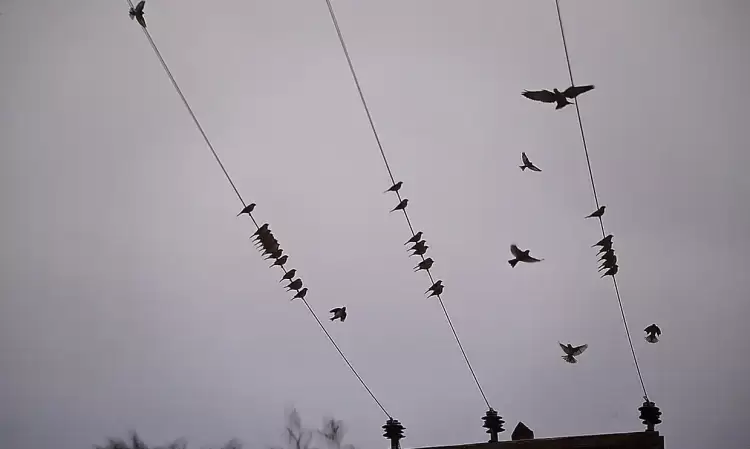 Πώς είναι ο καιρός σε Κοζάνη και Δυτική Μακεδονία σήμερα Σάββατο, 22 Μαρτίου 2025: Άνοδος θερμοκρασίας και νεφώσεις Πώς είναι ο καιρός σε Κοζάνη και Δυτική Μακεδονία σήμερα Σάββατο, 22 Μαρτίου 2025: Άνοδος θερμοκρασίας και νεφώσεις