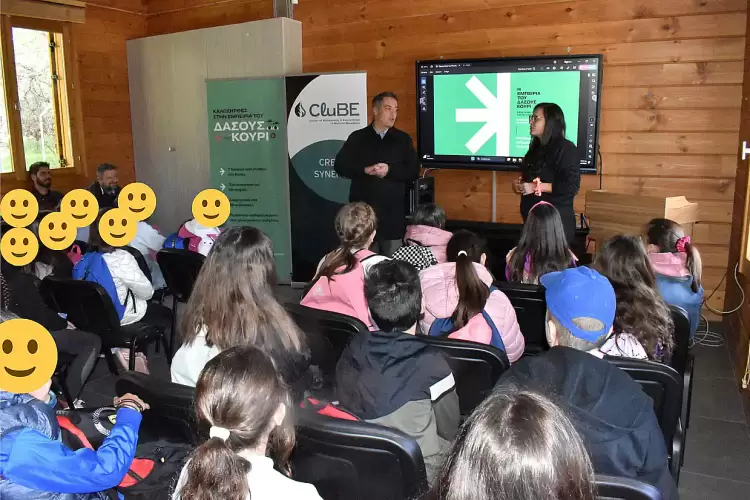 Δάσος Κουρί