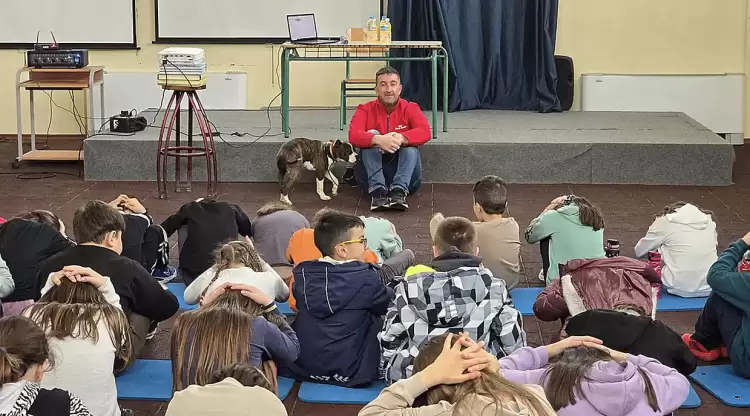 Δράσεις του Δήμου Αμυνταίου για την Παγκόσμια Ημέρα Αδέσποτων Ζώων Δράσεις του Δήμου Αμυνταίου για την Παγκόσμια Ημέρα Αδέσποτων Ζώων