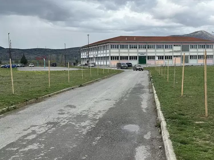 Φύτευση δέντρων από τον Δήμο Αμυνταίου