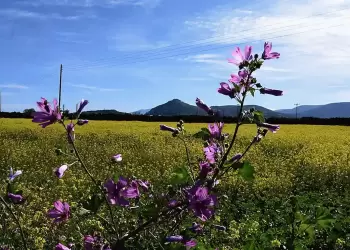 Ο Καιρός της Μεγάλης Εβδομάδας: Ανοιξιάτικος με αύξηση θερμοκρασίας