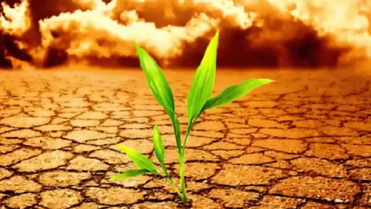 Ο μέσος άνθρωπος θα γίνει φτωχότερος κατά 40% αν η θερμοκρασία αυξηθεί κατά 4°c Ο μέσος άνθρωπος θα γίνει φτωχότερος κατά 40% αν η θερμοκρασία αυξηθεί κατά 4°c