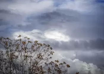 Πώς θα είναι ο καιρός σε Κοζάνη και Δυτική Μακεδονία σήμερα Παρασκευή, 25 Απριλίου 2025: Νεφώσεις με τοπικές βροχές και καταιγίδες