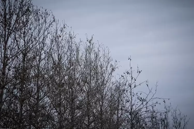 Πώς θα είναι ο καιρός σε Κοζάνη και Δυτική Μακεδονία σήμερα Τρίτη, 15 Απριλίου 2025: Νεφώσεις με πιθανές τοπικές βροχές