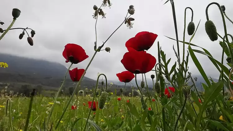 Πώς θα είναι ο καιρός σε Κοζάνη και Δυτική Μακεδονία σήμερα Τρίτη, 22 Απριλίου 2025: Αραιές νεφώσεις με τοπικές βροχές ή καταιγίδες