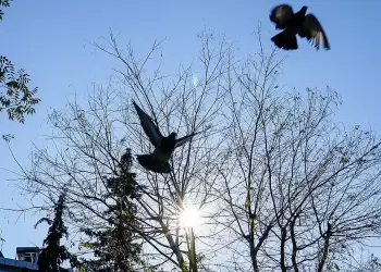 Πώς θα είναι ο καιρός σε Κοζάνη και Δυτική Μακεδονία σήμερα Τετάρτη, 23 Απριλίου 2025: