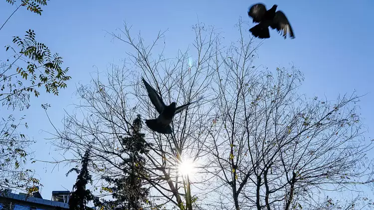 Πώς θα είναι ο καιρός σε Κοζάνη και Δυτική Μακεδονία σήμερα Τετάρτη, 23 Απριλίου 2025: