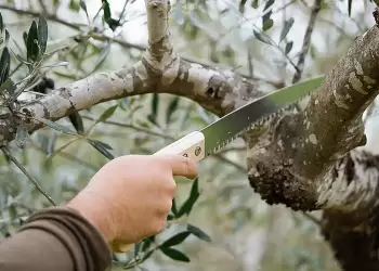 Σιάτιστα: Κυκλοφοριακές ρυθμίσεις στην πλατεία Γεράνειας τη Δευτέρα 28 Απριλίου