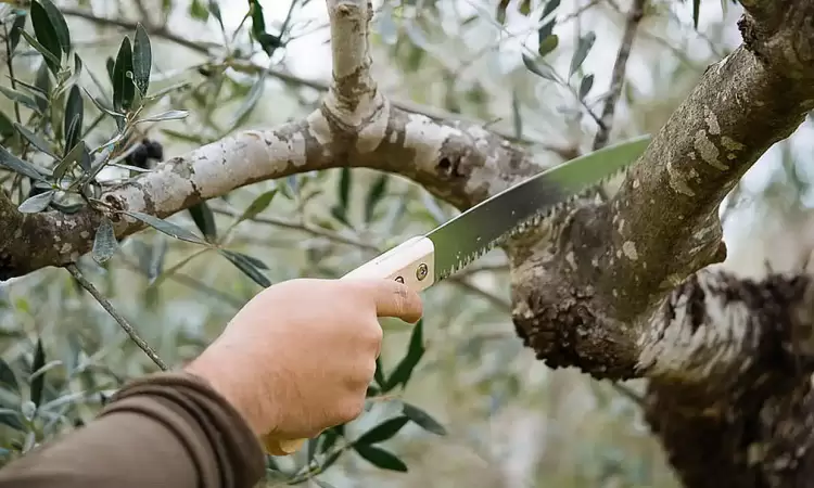 Σιάτιστα: Κυκλοφοριακές ρυθμίσεις στην πλατεία Γεράνειας τη Δευτέρα 28 Απριλίου