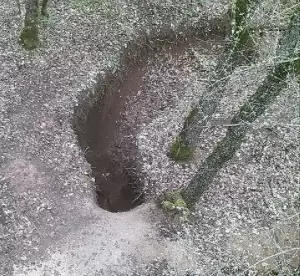 Φλώρινα: Συνελήφθησαν επ΄ αυτοφώρω -2- άτομα για παράβαση νομοθεσίας περί προστασίας αρχαιοτήτων (εικόνες) Συνελήφθησαν επ΄ αυτοφώρω 2 άτομα σε περιοχή της Φλώρινας για παράβαση νομοθεσίας περί προστασίας αρχαιοτήτων