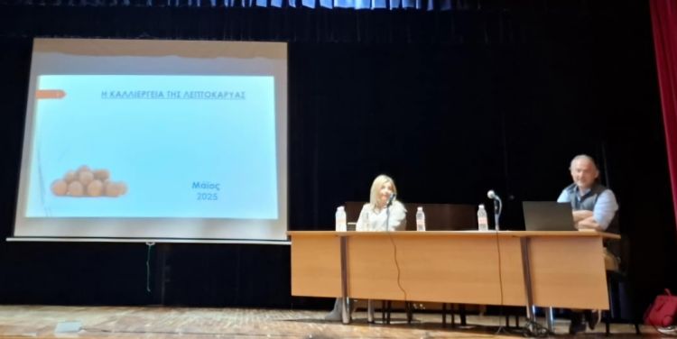 Εσπερίδα στη Νεάπολη για τη φουντουκοκαλλιέργεια: Βιωσιμότητα και επενδυτικές προοπτικές