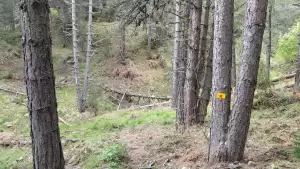 Εθελοντική Δράση Καθαρισμού και Συντήρησης Μονοπατιών στα Πιέρια Όρη