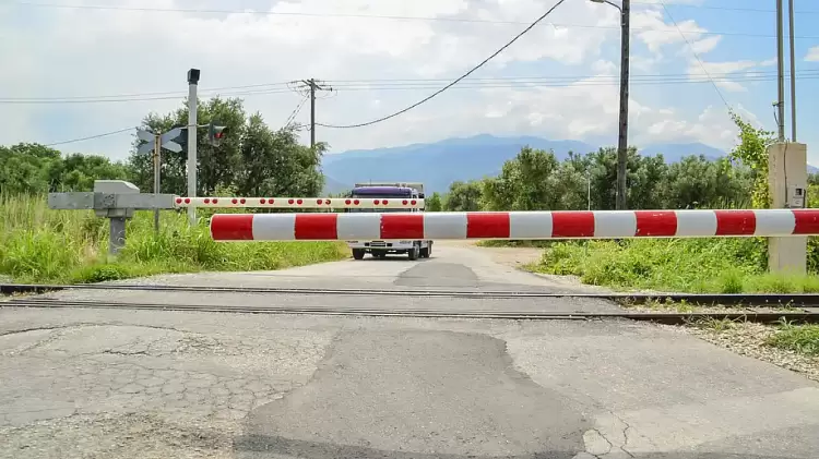 Image 2025-05-04 06:58:49