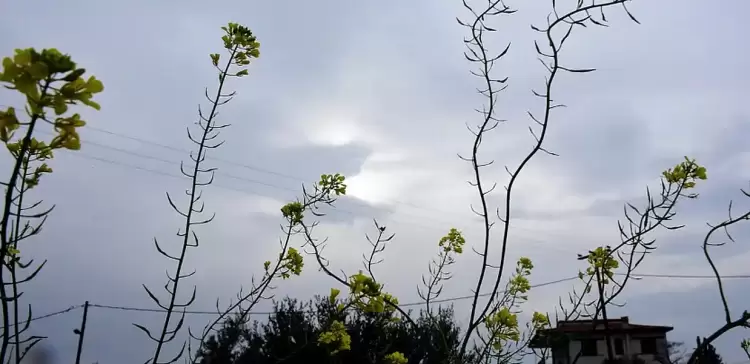 Πώς θα είναι ο καιρός σε Κοζάνη και Δυτική Μακεδονία σήμερα Τετάρτη, 07 Μαΐου 2025: Λίγες νεφώσεις με σκόνη και ζέστη καιρός