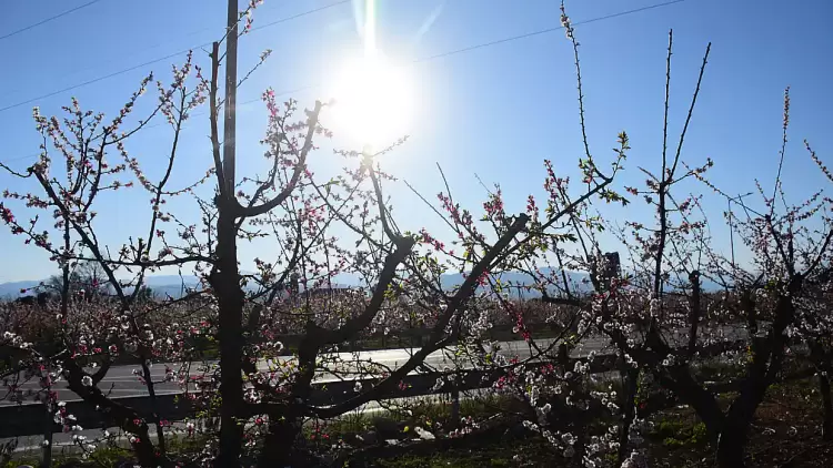 Πώς θα είναι ο καιρός σε Κοζάνη και Δυτική Μακεδονία σήμερα Σάββατο, 03 Μαΐου 2025: Γενικά αίθριος με λίγες νεφώσεις καιρός