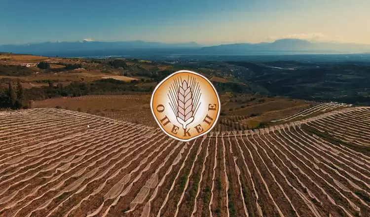 ΟΠΕΚΕΠΕ: Πώς φτάσαμε στην κατάργηση και την ενσωμάτωση στην ΑΑΔΕ