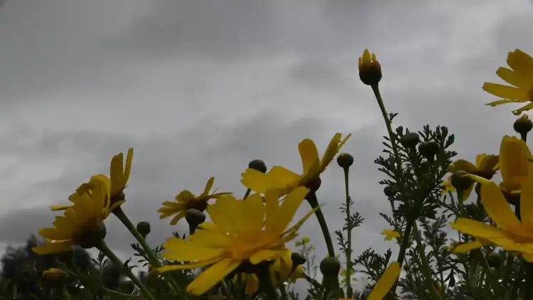 Πώς θα είναι ο καιρός σε Κοζάνη και Δυτική Μακεδονία σήμερα Τετάρτη, 28 Μαΐου 2025: Λίγες νεφώσεις με πιθανές τοπικές βροχές