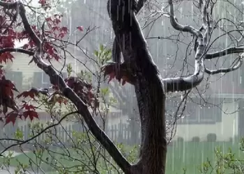 Πώς θα είναι ο καιρός σε Κοζάνη και Δυτική Μακεδονία σήμερα Παρασκευή, 30 Μαΐου 2025: Άστατος με τοπικές βροχές