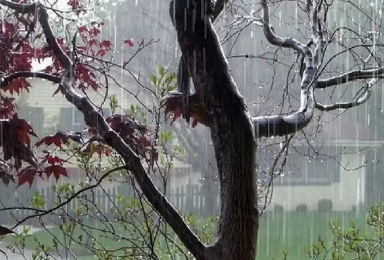 Πώς θα είναι ο καιρός σε Κοζάνη και Δυτική Μακεδονία σήμερα Παρασκευή, 30 Μαΐου 2025: Άστατος με τοπικές βροχές