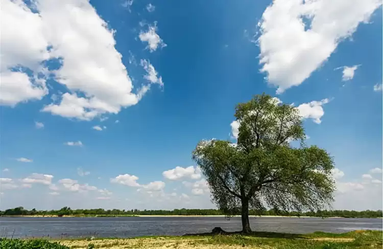 Πώς θα είναι ο καιρός σε Κοζάνη και Δυτική Μακεδονία σήμερα Κυριακή, 18 Μαΐου 2025: Γενικά αίθριος με πρόσκαιρες νεφώσεις