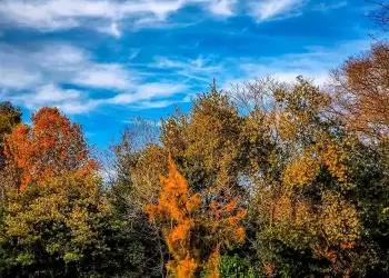 Πώς θα είναι ο καιρός σε Κοζάνη και Δυτική Μακεδονία σήμερα Τρίτη, 27 Μαΐου 2025: Γενικά αίθριος με πρόσκαιρες νεφώσεις Πώς θα είναι ο καιρός σε Κοζάνη και Δυτική Μακεδονία σήμερα Τρίτη, 27 Μαΐου 2025: Γενικά αίθριος με πρόσκαιρες νεφώσεις