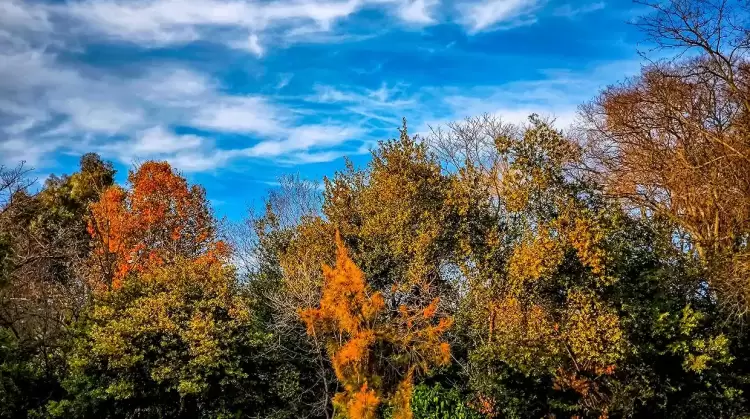 Πώς θα είναι ο καιρός σε Κοζάνη και Δυτική Μακεδονία σήμερα Τρίτη, 27 Μαΐου 2025: Γενικά αίθριος με πρόσκαιρες νεφώσεις Πώς θα είναι ο καιρός σε Κοζάνη και Δυτική Μακεδονία σήμερα Τρίτη, 27 Μαΐου 2025: Γενικά αίθριος με πρόσκαιρες νεφώσεις