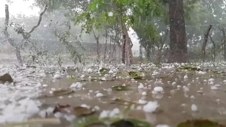 «Πράσινο φως» για τον ανάδοχο του Προγράμματος Χαλαζικής Προστασίας
