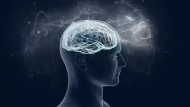 Το ποσοστό των ασθενών με άνοια μπορεί να μειωθεί κατά 45% αν τεθούν υπό έλεγχο 12+2 παράγοντες