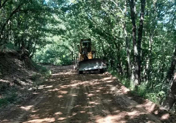 Αυτόματο προσχέδιο