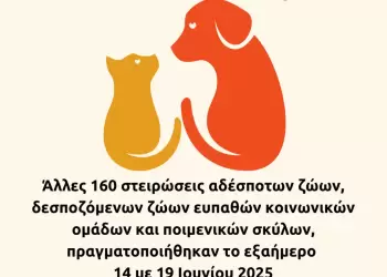 Δήμος Κοζάνης: Άλλες 160 στειρώσεις αδέσποτων ζώων, δεσποζόμενων ζώων