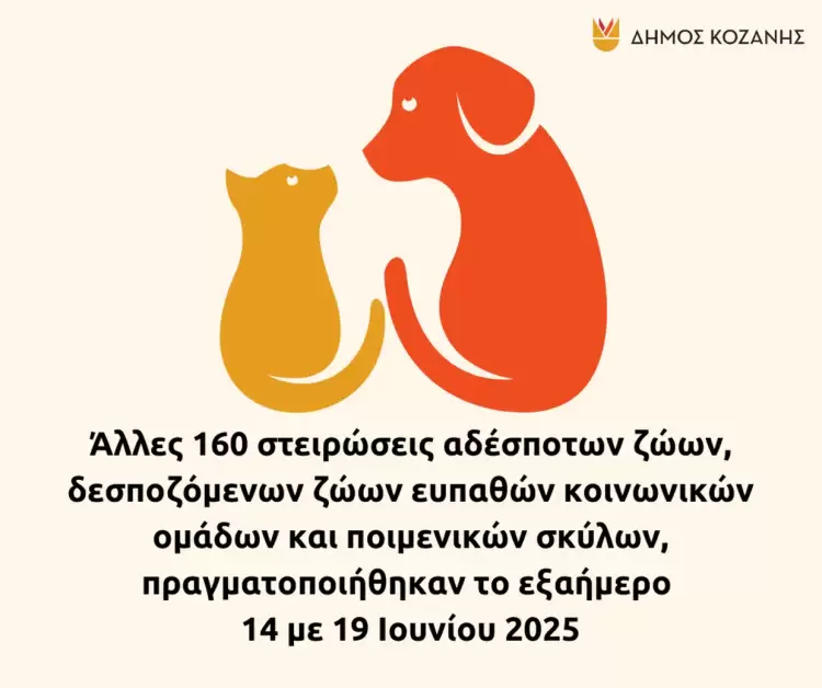 Δήμος Κοζάνης: Άλλες 160 στειρώσεις αδέσποτων ζώων, δεσποζόμενων ζώων Δήμος Κοζάνης: Άλλες 160 στειρώσεις αδέσποτων ζώων, δεσποζόμενων ζώων
