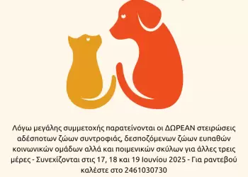 Δήμος Κοζάνης: παρατείνονται οι ΔΩΡΕΑΝ στειρώσεις