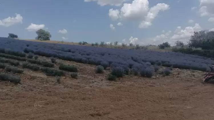 Επίσκεψη στις εγκαταστάσεις της Etheleo, στο πλαίσιο του Etheleo Open Day.