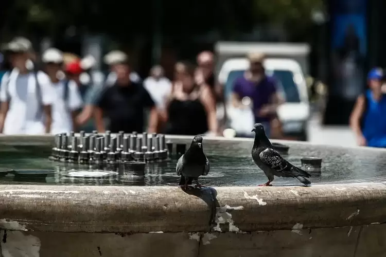 Καιρός: Προ των πυλών ο πρώτος καύσωνας του καλοκαιριού – Πού θα “χτυπήσουν” 39άρια Καιρός: Προ των πυλών ο πρώτος καύσωνας του καλοκαιριού – Πού θα “χτυπήσουν” 39άρια