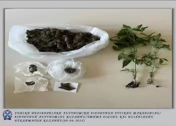Κοζάνη: Σύλληψη 60χρονου για διακίνηση ναρκωτικών και καλλιέργεια κάνναβης