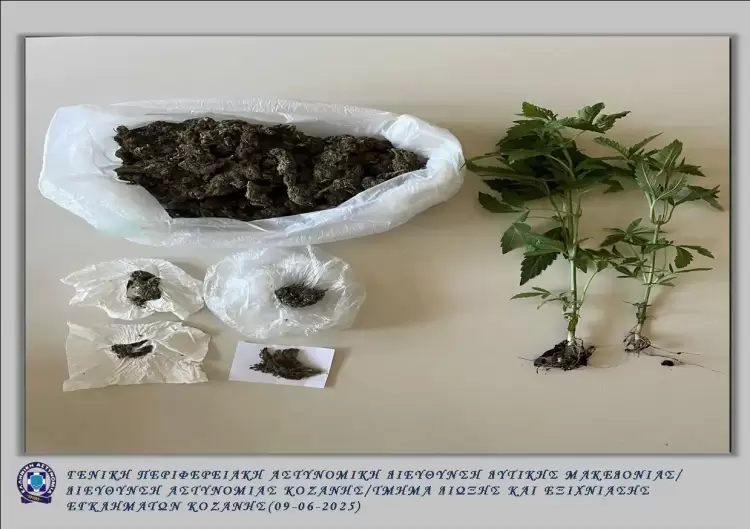 Κοζάνη: Σύλληψη 60χρονου για διακίνηση ναρκωτικών και καλλιέργεια κάνναβης